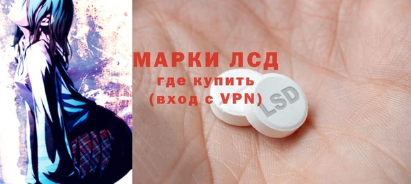 прущие грибы Аркадак