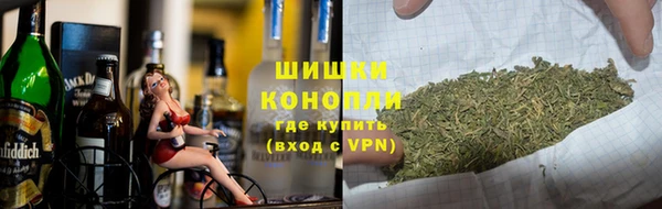прущие грибы Аркадак