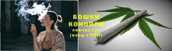 прущие грибы Аркадак