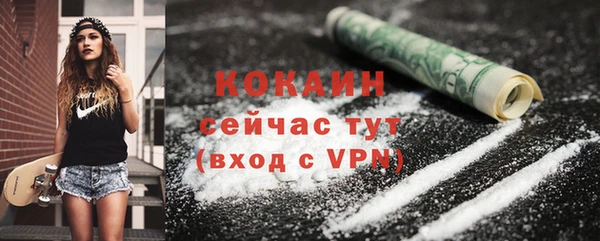 гашик Арсеньев