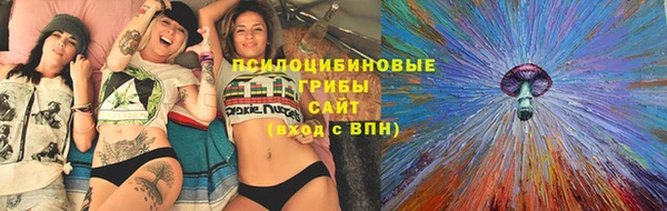 прущие грибы Аркадак