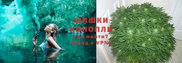 гашик Арсеньев