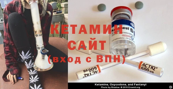 прущие грибы Аркадак